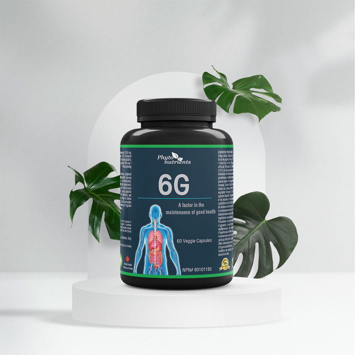 6G - A Factor In Maintenance Of Good Health